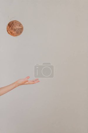 Téléchargez les photos : Plan recadré de la main femelle tenant la noix de coco - en image libre de droit