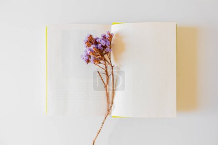 Foto de Vista superior de libro abierto y flores secas sobre fondo blanco. .. Concepto de lectura de primavera. - Imagen libre de derechos