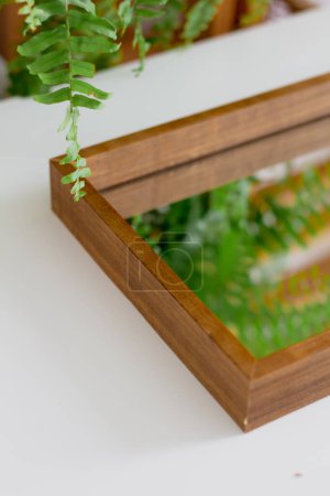 Téléchargez les photos : Plateau miroir en bois avec reflet végétal vert - en image libre de droit