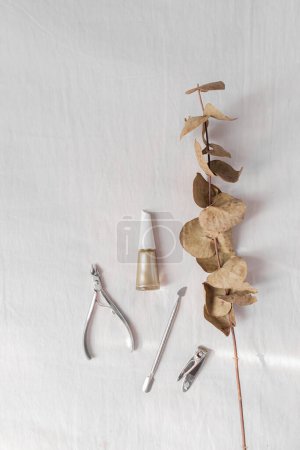 Téléchargez les photos : Vue du dessus du vernis à ongles avec kit de manucure et feuilles d'eucalyptus sur fond blanc - en image libre de droit