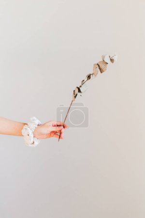 Téléchargez les photos : Jeune femme tenant une branche séchée d'eucalyptus. - en image libre de droit