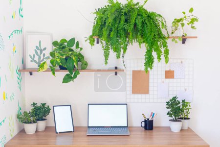 Téléchargez les photos : Design d'intérieur de bureau moderne avec ordinateur et plantes - en image libre de droit