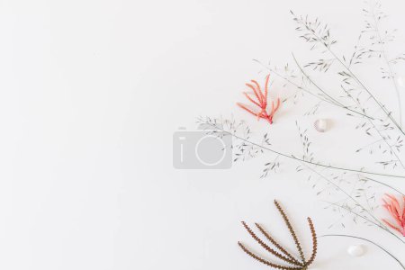 Téléchargez les photos : Modélisation florale inspirée de la plage sur fond blanc - en image libre de droit