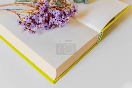 Téléchargez les photos : Vue rapprochée du livre ouvert et des fleurs séchées sur fond blanc. - en image libre de droit
