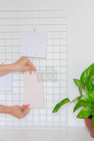 Photo for Mood board and money Plant in a brown vase against the white wall. Urban Jungle concept. Interior decoration. - Royalty Free Image