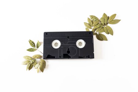 Photo for Old video cassette isolated, and dried plant leaves on white background. Flat lay, overhead view, top view. - Royalty Free Image