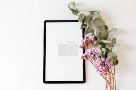 Téléchargez les photos : Cadre avec branches florales sèches et fraîches isolées et écran blanc table numérique sur fond blanc. - en image libre de droit