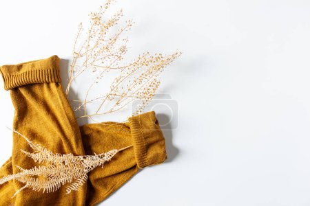 Foto de Jersey de punto de lana hembra caliente y planta seca sobre fondo blanco. Composición otoñal. - Imagen libre de derechos