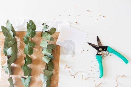 Foto de Composición creativa de estilo retro de hojas de papel en blanco y ramas de eucalipto sobre fondo blanco. Floristería, floristería, concepto de regalo. - Imagen libre de derechos