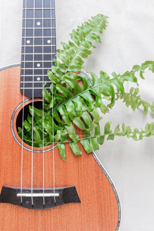 Photo for Ukulele with fern leaves inside, on a white background - Royalty Free Image