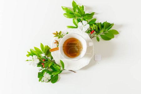 Foto de Taza de té y hojas de plantas composición sobre fondo blanco. Piso tendido, vista superior. - Imagen libre de derechos