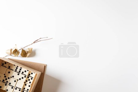Photo for Vintage domino in box decorated with dried leaves on white background. - Royalty Free Image