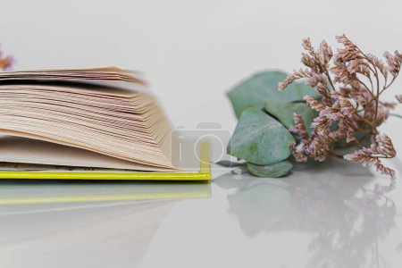 Foto de Concepto de lectura de primavera. Libro abierto y flores secas sobre fondo blanco. . - Imagen libre de derechos