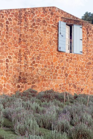 Téléchargez les photos : Bâtiment rustique et vintage avec texture de mur de pierre et de champs de lavande. Printemps, concept romantique. - en image libre de droit