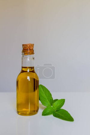 Foto de Aceite de oliva en botella con hojas de albahaca sobre blanco - Imagen libre de derechos