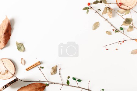 Foto de Otoño, fondo de otoño con hojas secas de otoño, películas de cámara vintage, piezas de madera, canela, bayas en blanco - Imagen libre de derechos