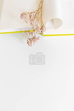 Foto de Composición de primavera. Libro abierto y flores secas sobre fondo blanco. .. Concepto de lectura de primavera. - Imagen libre de derechos