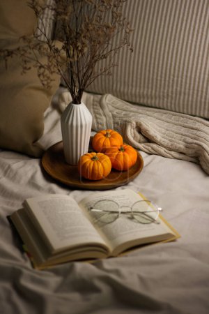 Photo for Beautiful little pumpkins. Autumn season concept. - Royalty Free Image