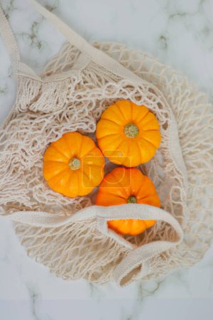 Photo for Beautiful little pumpkins. Autumn season concept. - Royalty Free Image