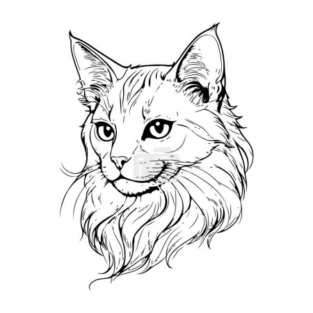 Foto de Un dibujo de línea simple de un gato. - Imagen libre de derechos