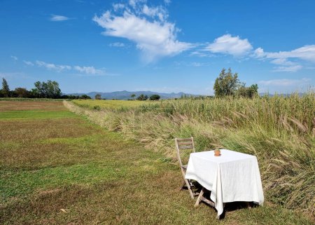Téléchargez les photos : La table avec une chaise dans le paysage de prairie et une montagne sur le nuage dans le fond bleu ciel. - en image libre de droit