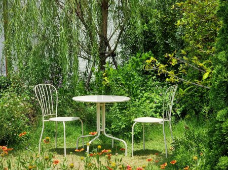 Photo for The white table with a chair in the garden - Royalty Free Image