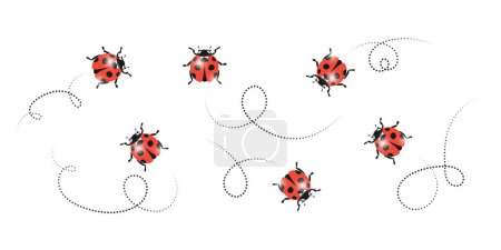 Illustration for Ladybug cartoon icons set. - Royalty Free Image