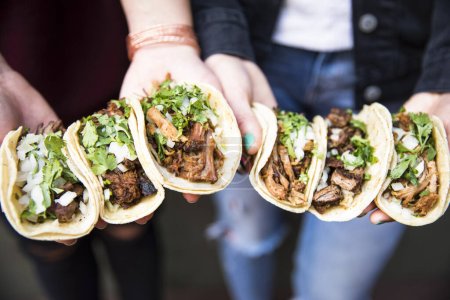 Téléchargez les photos : Tacos tenu à la main 7 - en image libre de droit