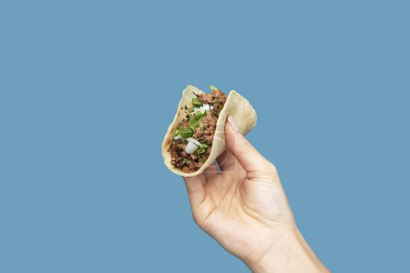 Téléchargez les photos : Tacos tenu à la main 6 - en image libre de droit
