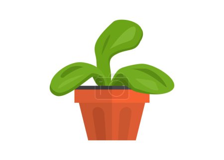 Illustration for Decorative plant on pot. Simple flat illustration - Royalty Free Image