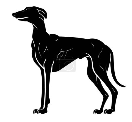 Illustration for Greyhound Dog Breed, Silhouette Side - Royalty Free Image
