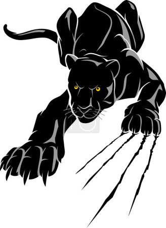 Photo for Black Panther Crouching, Rip Claw Attack - Royalty Free Image