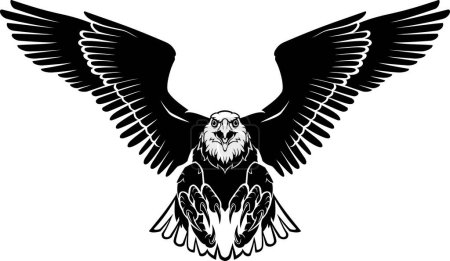 Ilustración de Águila calva amplia envergadura frontal - Imagen libre de derechos