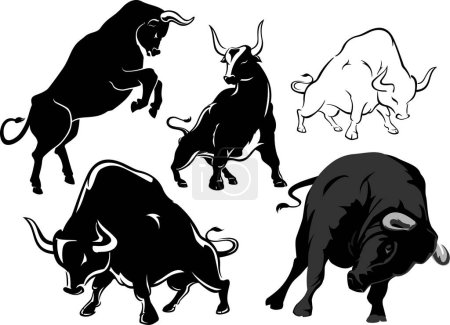 Bull Set, Variation of dynamic wild bull, isolated in white background