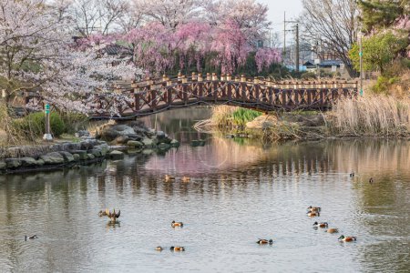 Paisaje de primavera del estanque Yeonji en Changnyeong, Corea