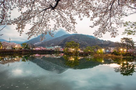 Paisaje de primavera del estanque Yeonji en Changnyeong, Corea