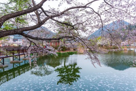Foto de Paisaje de primavera del estanque Yeonji en Changnyeong, Corea - Imagen libre de derechos
