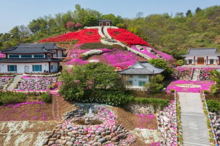 moosrosa Landschaft des Daemyeong-Tempels in Korea, Sancheong