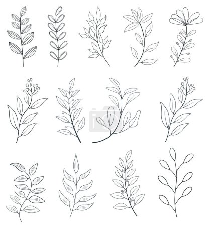 Photo for Vector floral wreath Plant branch with green garden leaves floral vector silhouettes background floral illustration - Royalty Free Image