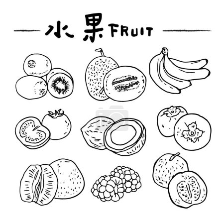 Illustration for Hand drawn line fruit illustration. Healthy food concept. Colorful big collection with fruits and vegetables. - Royalty Free Image