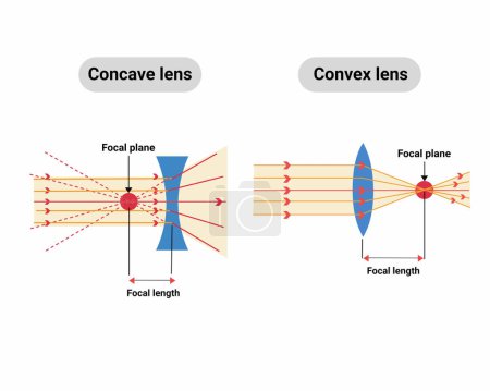 Lichtstrahlen durch Linse Konvex oder konvergente Linse schematische Darstellung in der Optik Physik Vektor Illustration