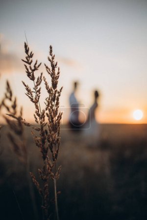 Téléchargez les photos : Un couple flou sur le fond du coucher de soleil dans le champ avec le blé au premier plan - en image libre de droit