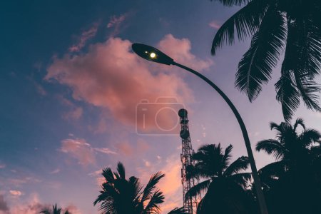 Foto de Una puesta de sol lila atmosférica en un entorno tropical con un enfoque selectivo en el poste de luz de la calle; un impresionante paisaje púrpura, siluetas de palmas, y una torre de transmisión en un fondo desenfocado - Imagen libre de derechos
