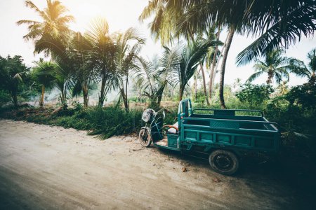 Téléchargez les photos : Une vue grand angle d'un tricycle cargo avec le corps stationné sur le côté d'un chemin de terre près d'une plantation agricole tropicale avec des palmiers, des buissons et un champ par une chaude journée ensoleillée ; île de Thoddo, Maldives - en image libre de droit