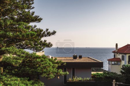 Foto de Vista al techo de las casas vecinas, un pino con agujas verdes a la izquierda de la imagen, y el mar en frente con algunos barcos y cruceros a la deriva en un cielo azul claro - Imagen libre de derechos