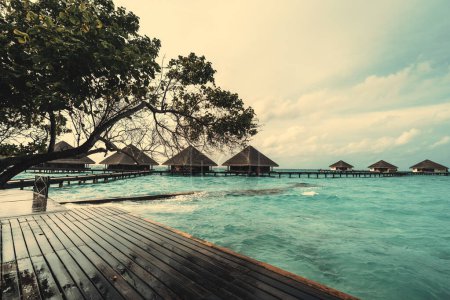 Téléchargez les photos : Wide angle view of a villa of overwater bungalows with triangle roofs in the background; a tree over a wooden boardwalk, warm turquoise sea water surrounding a luxury accommodation in the Maldives - en image libre de droit