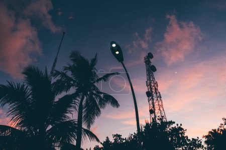 Téléchargez les photos : An atmospheric lilac cloudy sunset in a tropical setting with a selective focus on the streetlight; a stunning purple sky, silhouettes of palm trees, a transmission tower, and a tall scaffolding - en image libre de droit