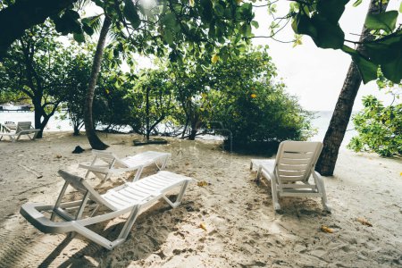 Foto de A wide-angle view of white beach loungers on the beach sand with varied tropical trees that create shade and give a sense of exclusivity to the resort area in the Maldives islands - Imagen libre de derechos