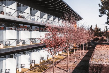 Téléchargez les photos : A perspective view of a hotel facade with a group of almost bare trees with dry leaves on a cold sunny day; an elevation of an inn with balconies, chairs, and separators on a winter or an autumn day - en image libre de droit