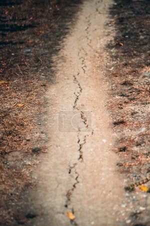 Photo for A dramatic vertical shot of a crack on a narrow footpath, surrounded by the dry brown ground and blackened undergrowth burned by a past fire. The shallow depth of field puts emphasis on the crack - Royalty Free Image